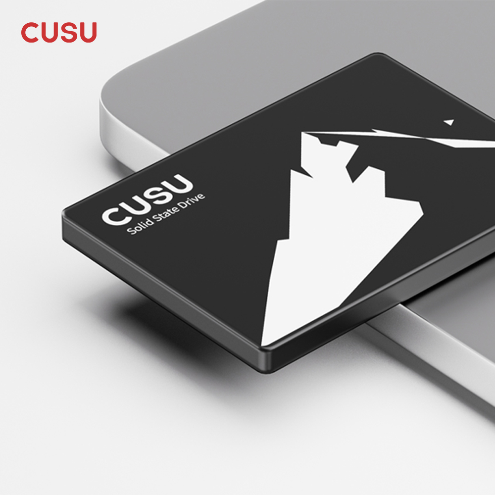 CUSU SSD 1TB 512GB 256GB 128GB - Ssd 500Gb recensione e prezzo